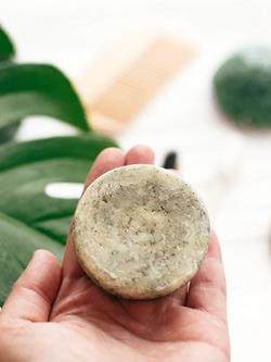 A hand holding a shampoo bar in the foreground with a palm leaf in the background
