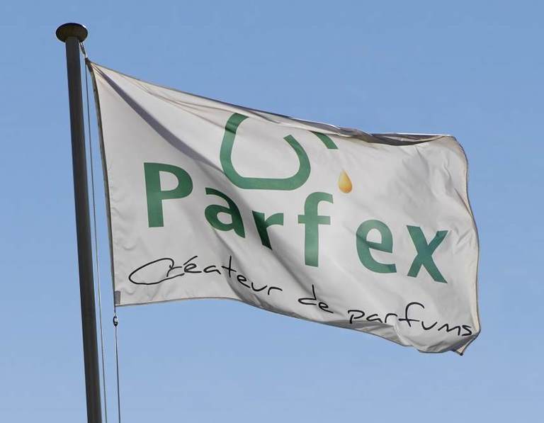 Parfex logo