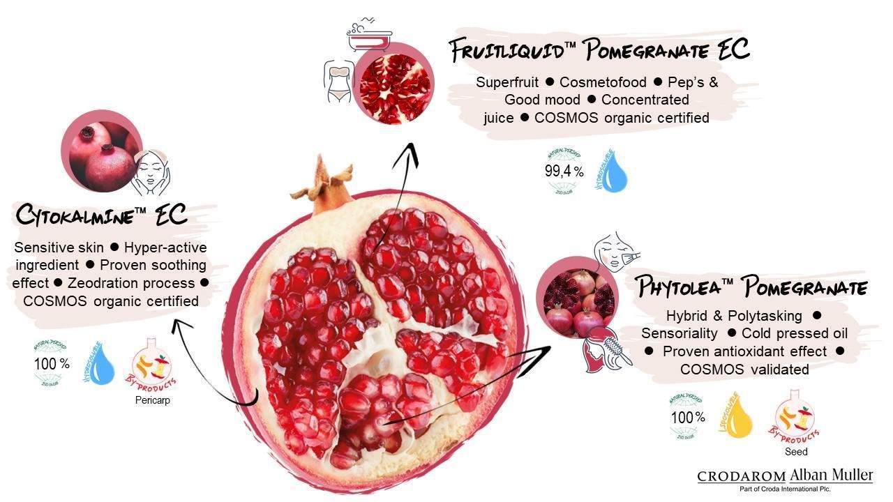 diagram explaining the use of pomegranate in personal care applications and solutions from Crodarom
